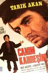 Дорогой брат 1973 постер
