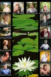 Одолень-трава 2014 постер