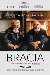 Братья 2015, Польша постер
