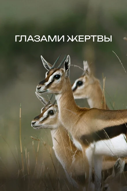 Постер Глазами жертвы 2019