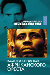 Заметки в поисках африканского Ореста 1970 постер
