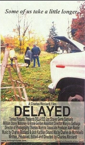 Постер Delayed 2002
