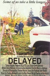 Delayed 2002 постер