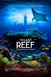 Последний риф 3D 2012 постер