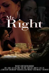 Mr. Right 2011 постер
