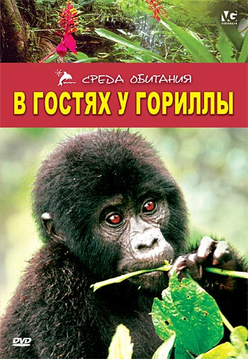 Постер В гостях у гориллы 1997
