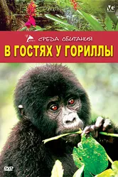 В гостях у гориллы 1997 постер