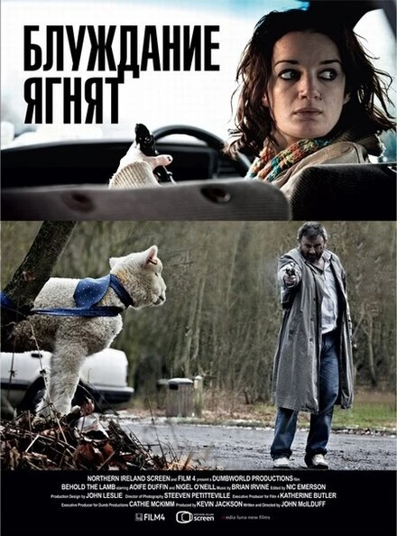 Постер Блуждание ягнят 2011