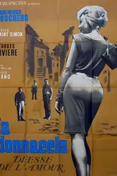 La donnaccia постер