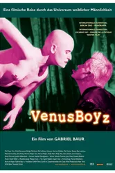 Мальчики Венеры 2002 постер