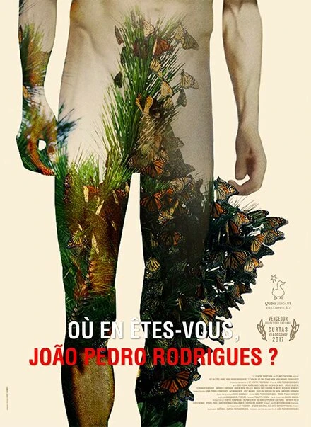 Постер Où en êtes-vous, João Pedro Rodrigues?