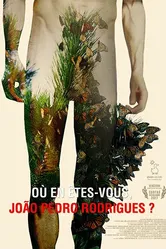 Où en êtes-vous, João Pedro Rodrigues? постер