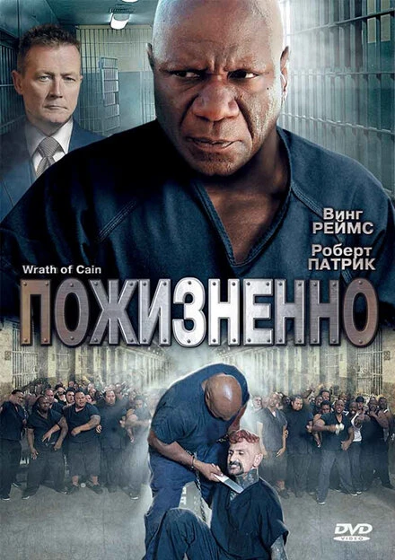 Постер Пожизненно 2010