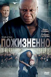 Пожизненно 2010 постер
