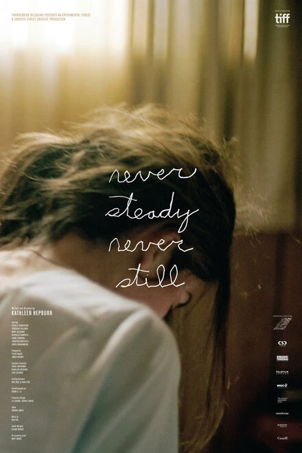 Постер Never Steady, Never Still 2017