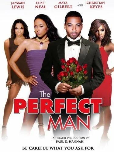 Постер The Perfect Man 2011