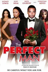 The Perfect Man 2011 постер