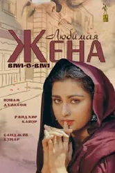 Любимая жена 1981 постер