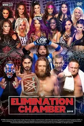 WWE Камера ликвидации 2019 постер
