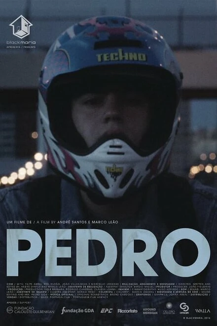Постер Педро 2016