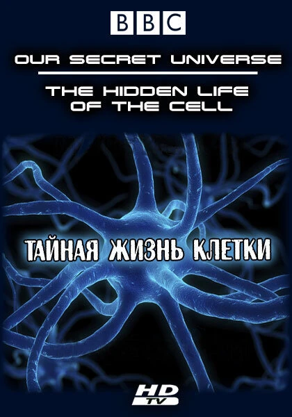 Постер Внутренняя вселенная: Тайная жизнь клетки 2012
