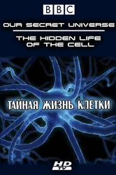 Внутренняя вселенная: Тайная жизнь клетки 2012 постер