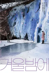 Зимней ночью 2018 постер