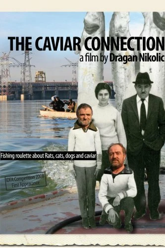 Постер Икорная связь 2008
