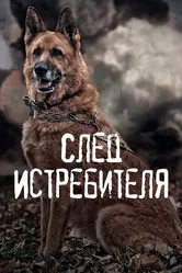 След Истребителя 2015 постер