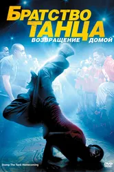 Братство танца: Возвращение домой 2010 постер
