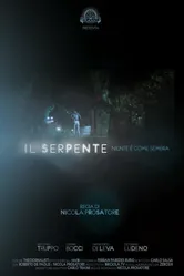 Il serpente, niente è come sembra постер