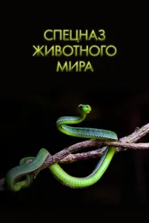 Спецназ животного мира 2018 постер