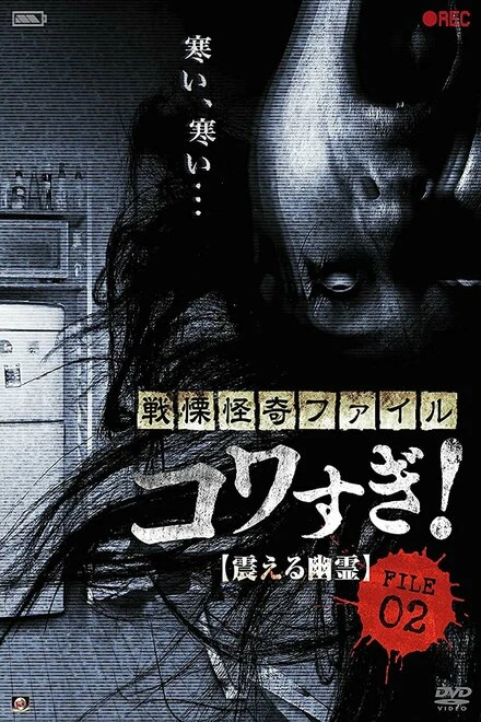 Постер Ужасающие материалы, файл 2: Дрожащий призрак 2012