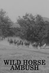 Wild Horse Ambush постер