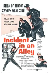 Incident in an Alley постер