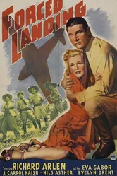 Вынужденная посадка 1941 постер