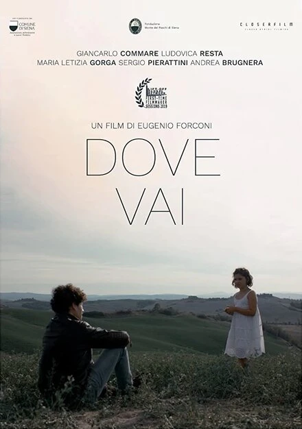 Постер Dove Vai