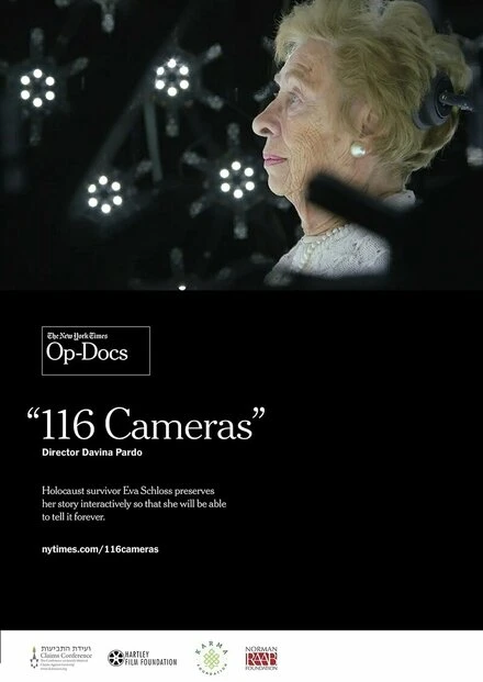 Постер 116 Cameras
