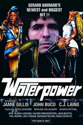 Сила воды 1977 постер