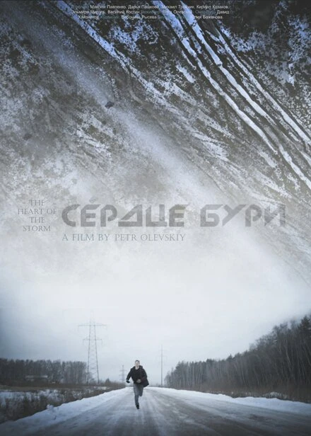 Постер Сердце бури 2014