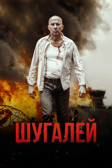 Постер Шугалей 2020