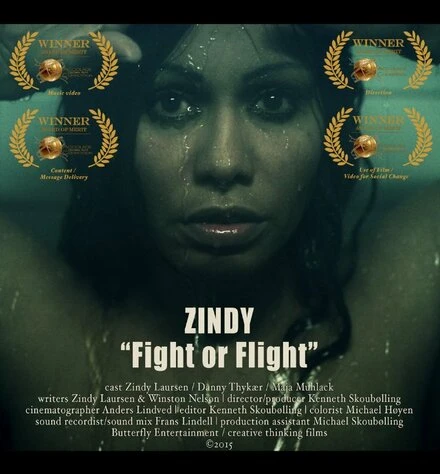 Постер Fight or Flight 2015