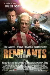 Remnants 2013 постер