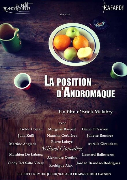 Постер La position d'Andromaque