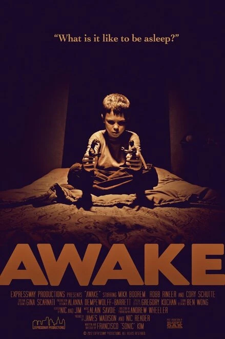 Постер Awake 2013