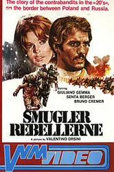 Любовник большой медведицы 1971 постер