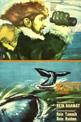 Стрелок 1976 постер