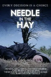 Needle in the Hay 2011 постер