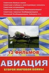 Авиация Второй мировой войны 2009 постер