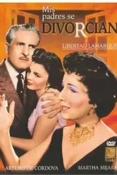 Mis padres se divorcian постер